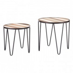 Set Of 2 Multicolor Tray Tables